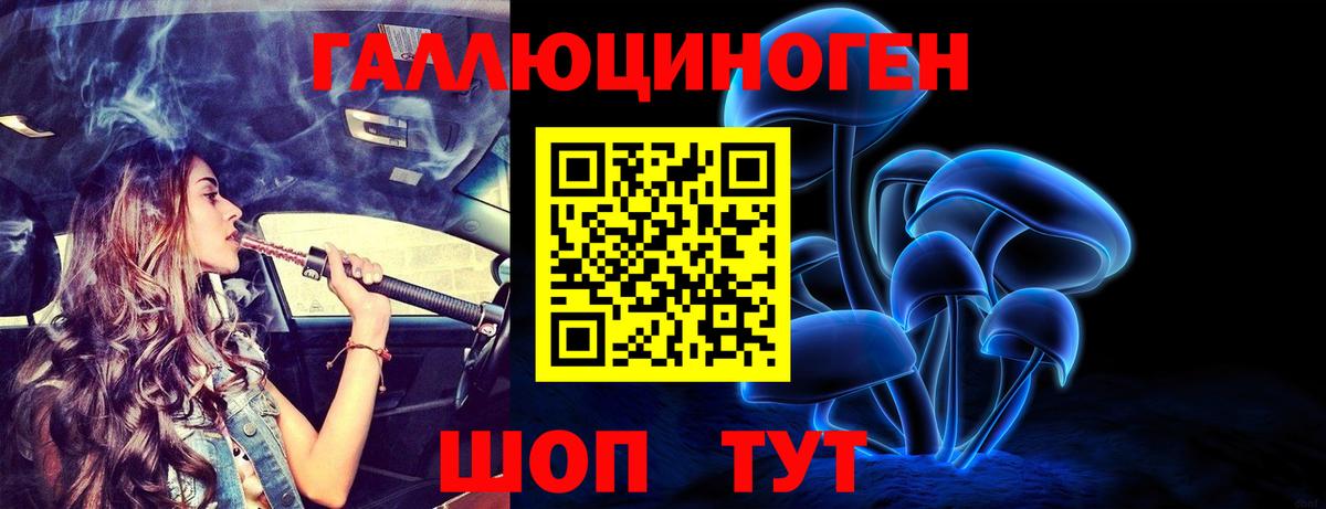 Псилоцибиновые грибы Psilocybine cubensis  закладки  Чернушка  Вход с VPN 