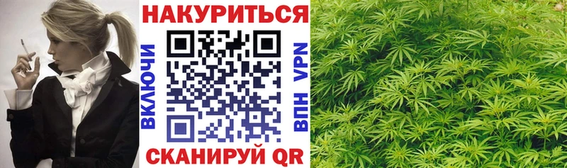 Канабис MAZAR  купить  сайты  Чернушка 